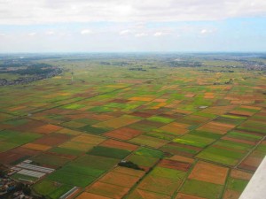 2013年9月28日、茨城県稲敷郡河内町付近の稲田